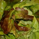 lettuce, fresh produce